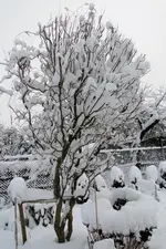 2010KW01_C0611.webp