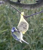 2009KW52_C0153.webp