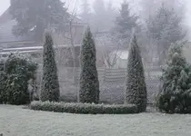 2010KW02_1-0357.webp