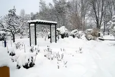 2010KW01_C0608.webp