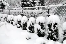 2010KW01_C0580.webp