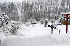 2010KW01_C0570.webp