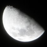 mond_C323.jpg