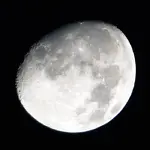 mond_C440.webp