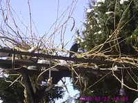 PIC00166.webp