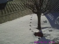PIC00177.webp