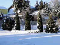 K2010KW10_C0932.webp