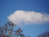 2010  Berlin 03 049.webp