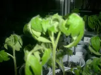 07.03.2010 003.webp