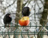 DSC04229.webp