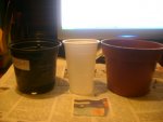 07.03.2010 005.jpg