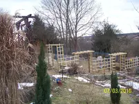 100_2311.webp