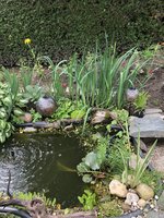 F67C663C-E02F-485C-8436-FBE2AD11B9D0.jpeg