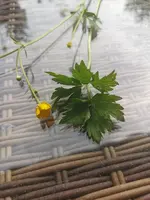 IMG_20230520_165612.webp IMG_20230520_165612.webp