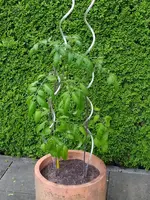 IMG_20230520_174457.webp