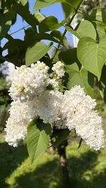 IMG_5872.webp