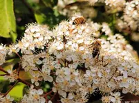 IMG_20230520_163555.webp