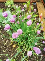 IMG_20230516_180302.webp