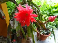 DSC02919.webp