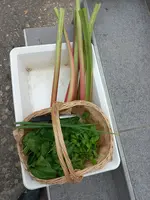 20230520_164532.webp