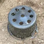 Rhizomsperre Stauden_01.jpg