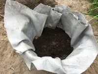 Rhizomsperre Stauden_02.jpg