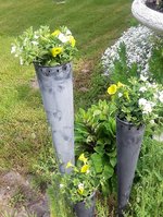 Tüten.jpg