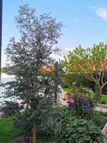 IMG_20230519_174305.webp
