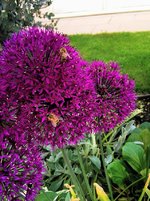 IMG_20230519_174733.jpg