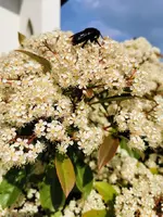 IMG_20230520_163328.webp