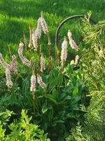 IMG_20230521_082238.webp