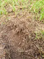 20230521_162805[1].webp