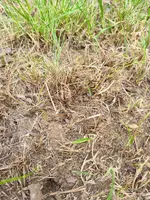 20230521_162829[1].webp