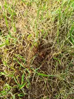 20230521_162949[1].webp