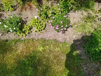 IMG_20230521_131545.webp