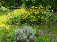 IMG_20230521_131500.webp