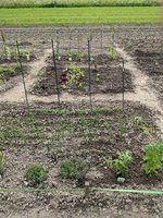 PXL_20230521_143605857.jpg