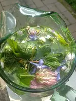 IMG_20230522_092505.webp