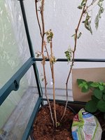20230522_115141.jpg