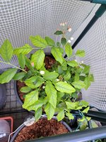 20230522_115150.jpg