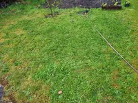 20230521_204950.webp