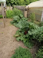 IMG_20230522_172448.webp