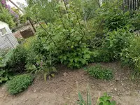 IMG_20230522_172421.webp