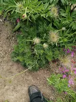 IMG_20230522_172356.webp