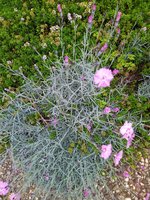 IMG_20230523_084715.jpg