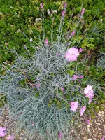 IMG_20230523_084715.jpg