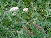 IMG_20230523_084430.jpg