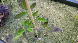 20230523_202229.webp