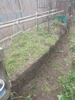 IMG_20230523_105704.jpg