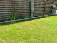 gras3.webp